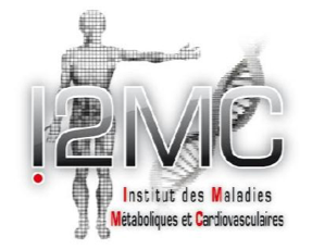 Post-doctoral position at I2MC-Toulouse (France)
